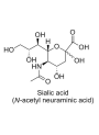  Sialic Acid (Bioyouth NANA, N-Acetylneuraminic Acid 98%)