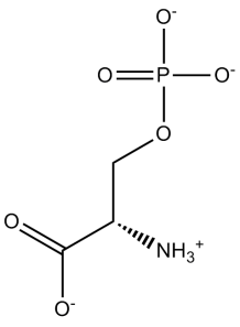 O-Phospho-L-serine
