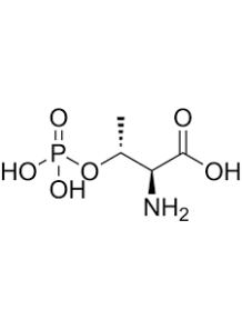 O-Phospho-L-threonine
