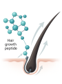 Myristoyl pentapeptide-4 (1000ppm Solution)
