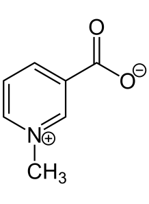  Trigonelline (Pure from Coffee Extract)