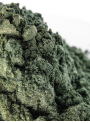 Aquatic Green Mica, dark green, golden iridescent (size A)