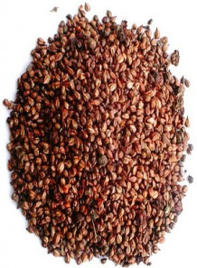 Grape Seed Oil (Refined)