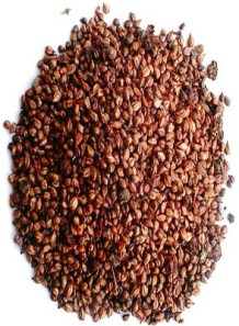  NaturalProfile™ Grape Seed Oil (Cold-Pressed)
