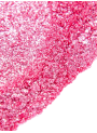Pink Glitter Mica (Food Grade, 50-500micron)
