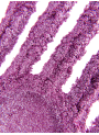 Purple Glitter Mica (Food Grade, 50-500micron)