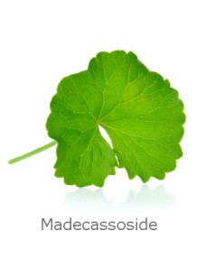 Centella Asiatica Extract...