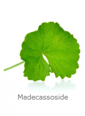 Centella Asiatica Extract (Madecassoside 90%)
