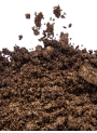 Golden Brown Mica น้ำตาล เหลือบทอง (ขนาด A)