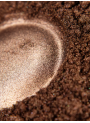 Brown Mica น้ำตาล (ขนาด A)