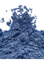 Golden Blue Mica น้ำเงิน ทอง (ขนาด A)