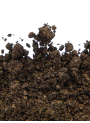 Copper Brown Mica น้ำตาลเข้ม เหลือบทอง (ขนาด A)