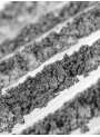 White Gray Mica, grayish white (size A)