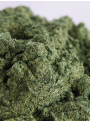Golden Dark Green Mica เขียวเข้ม อมทอง (ขนาด A)