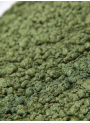 Golden Dark Green Mica เขียวเข้ม อมทอง (ขนาด A)