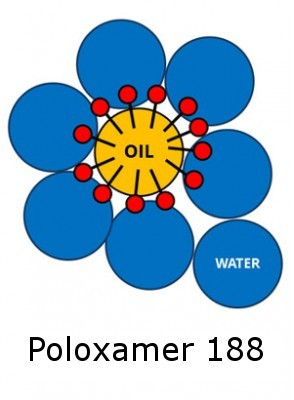 Poloxamer 188