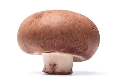 Poly-Protect (Hydrolyzed Sclerotium Gum)
