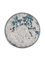 Green White Pearl Mica (Size A) (e.q. Timiron Silk Green)