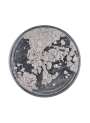 Silver Pearl Mica (Size A, 30 Micron) (e.q. Timiron Supersheen MP-1001)