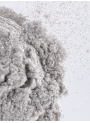 Silver Super Sparkle Mica (Size D, 250 Micron)