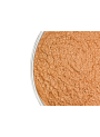 Gold Super Sparkle Mica (Size D, 180 Micron)