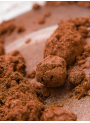 Bronze Pearl Mica (Size A)