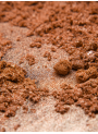 Bronze Glitter Mica (Size B)