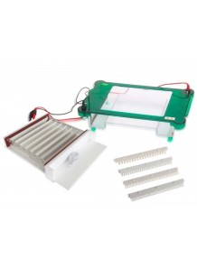 Horizontal Electropheresis...