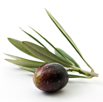 Squalane (Olive)