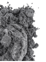 Black Gray Mica (Food Grade, 10-60micron)