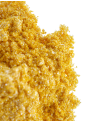 Light Yellow Glitter Mica (Food Grade, 50-500micron)