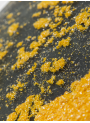 Light Yellow Glitter Mica (Food Grade, 50-500micron)