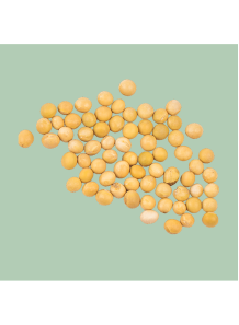 Genistein EZ™ (5% Genistein...