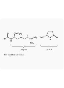 PCA Ethyl Cocoyl Arginate