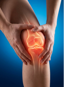 Native Undenatured type II...