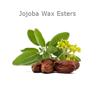Jojoba Ester (Water-Soluble) (Jojoba Wax PEG-120 Esters﻿)