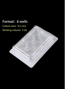 6-well Plate (Sterilized...