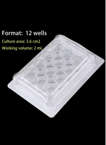 12-well Plate (Sterilized...