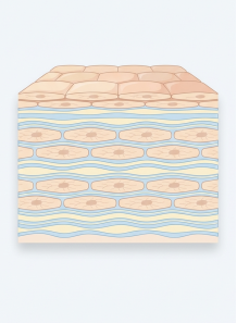 SkinIntex™ (NMF For Skin...