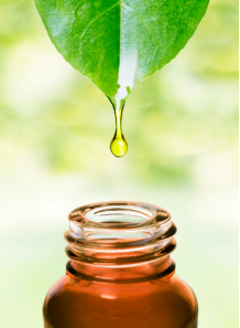 Tea Tree Oil (Extra Grade)