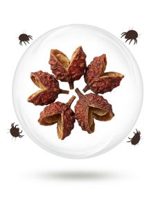 Pure-Xanthoxylin™...