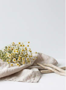 Chamo (Compare to Tamburins)