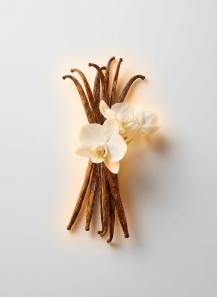 La Vie Est Belle Vanille...