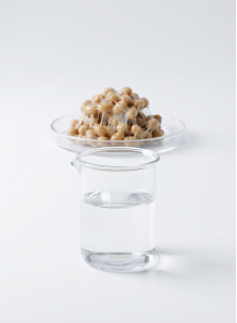 Natto Gum Extract
