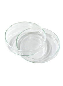  Petri Dish (glass, with lid) 60mm