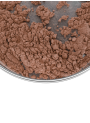 Tawny Silk Beige Mica (5-29micron)