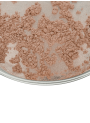 Golden Dune Beige Mica (12-60micron)