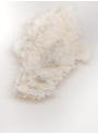 Hydrolyzed Silk Protein (Sericin, Powder, High Nitrogen)