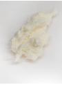 Hydrolyzed Silk Protein (Sericin, Powder, Deodorized)