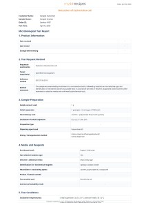 Detection of Escherichia coli